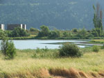 Photo of the Bingen Lake Wetland